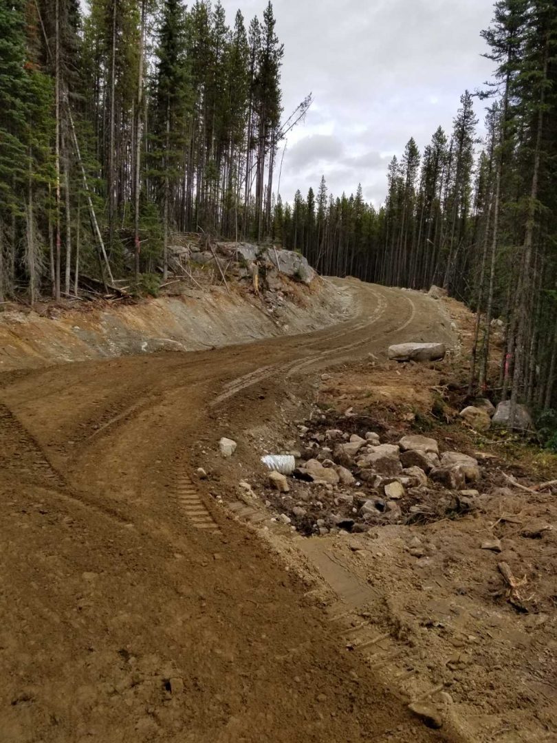 Dikning eshakka kirganini tomosha qiling