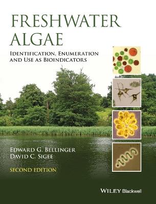 Tallinna Tehnikakõrgkool - Edward G. Bellinger Freshwater Algae - raamatu kaanefoto